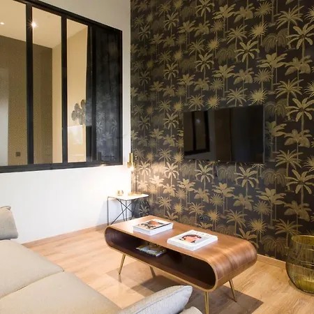 Les Demoiselles Apartment Toulouse
